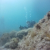 Combat Diver Course May 2015_042